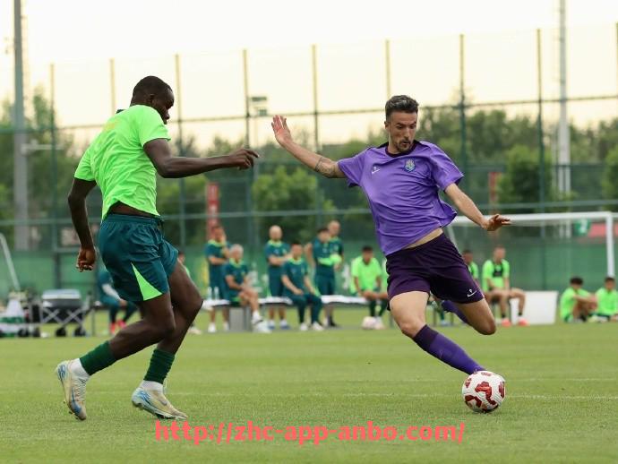 安博体育app下载-法甲外援赛季表现跟踪及其对球队战术调整的支持作用